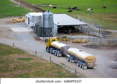 Canterbury, New Zealand, February 21 2020: A Westgold Dairy Tanker Arrives At A Dairy Farm To Collect The Day's Milk 