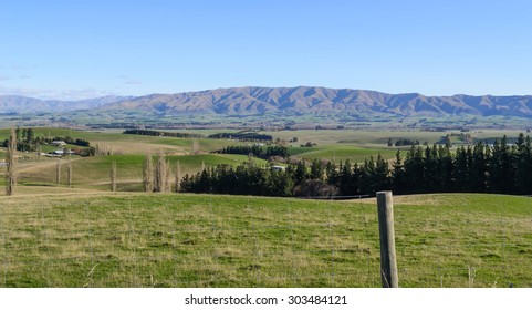 Canterbury Plains