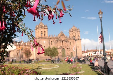 Cantuta Flower And Cusco Cathedral