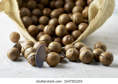 canvas bag with macadamia nuts close-up and a key for cracking nuts stuck in a nut. High quality photo
