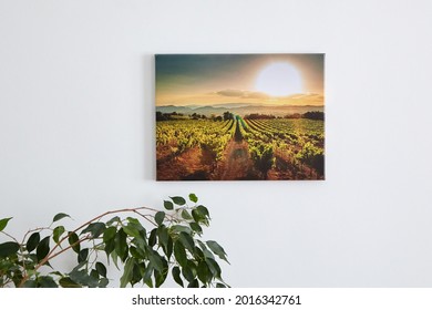 Canvas Photo Print And Green Leaves Of Houseplant, Interior Decor. Landscape Photography Hanging On White Wall