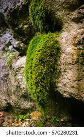 canyon