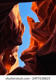 Canyon Canyon Inside the Canyon