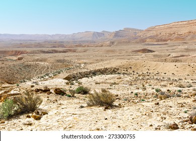 Canyon in der Judenwüste im Westjordanland des Jordan