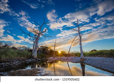 Canyon Lake Texas