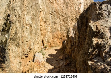canyon landscape object view inside with narrow path way between rock walls on contrast bright clear weather time