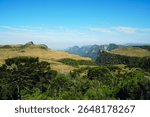 Canyon landscape in Santa Catarina
