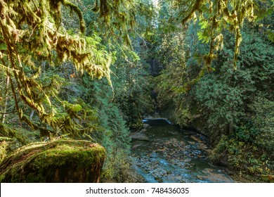 Canyon In Maple Ridge, British Columbia, Canada