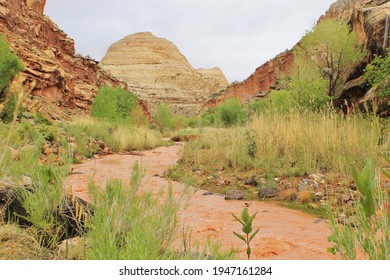 Canyon Scenery After A Flash Flood