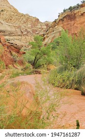 Canyon Scenery After A Flash Flood