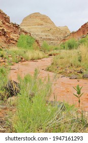 Canyon Scenery After A Flash Flood