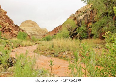 Canyon Scenery After A Flash Flood