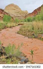 Canyon Scenery After A Flash Flood