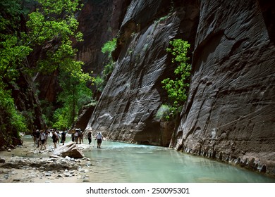 Canyoning In The Narrows, Zion Canyon