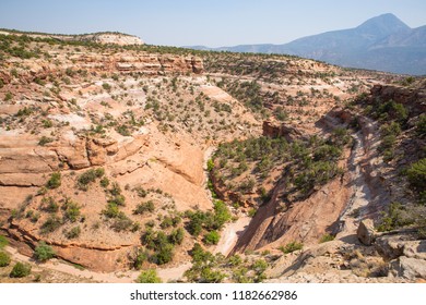 Canyons Of The Ancients National Monument, Colorado, USA