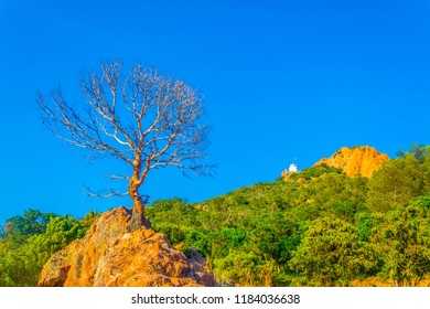 Cap Du Dramont In France
