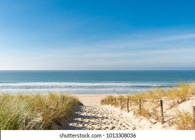 Cap Ferret (Arcachon Bay, France), access to the 'beach of the dunes' - Shutterstock ID 1013308036