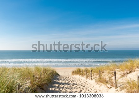 Cap Ferret (Arcachon Bay, France), access to the 'beach of the dunes'