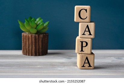 CAPA (Corrective Action and Preventive Action) - acronym on wooden cubes on the background of a cactus. Busines concept