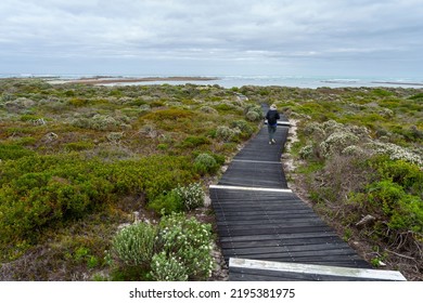 Cape Agulhas, Western Cape, South Africa - August 08, 2022: Boardwalk Leading To Late Stone Age Hunter Gatherer Fish Traps At Rasperpunt Near Cape Agulhas In The Overberg. L'Agulhas, Western Cape. So
