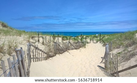 Cape cod beach with fenced pathway