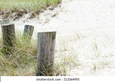 Cape Cod Beach, MA