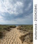 Cape cod beach (Massachusetts), July 2024