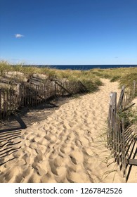 Cape Cod Beach Path