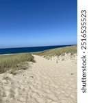 Cape cod beach sand pathway 