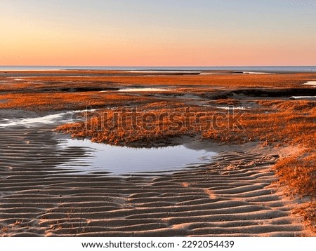 Cape Cod beach and sand at sunset
