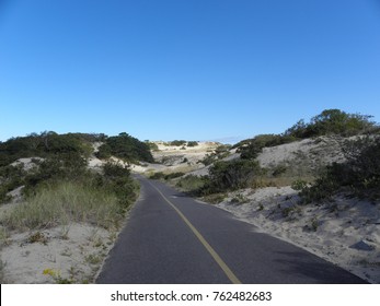 Cape Cod Beach Trail