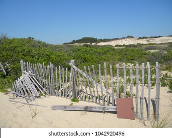 Cape Cod Dunes