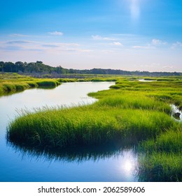 Cape Cod Marshland Seascape At Sunrise. Vibrant Colors Of The Green Marsh Plants And Blue Sky With Reflections On The Water Surface.