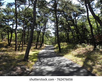 Cape Cod Rail Trail