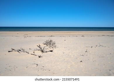 Cape Cod In Springtime Coast Guard Beach North Truro
