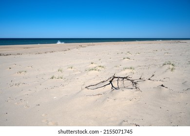 Cape Cod In Springtime Coast Guard Beach North Truro
