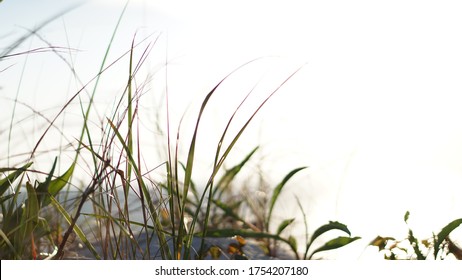 Cape Cod Summer Beaches And Landscape Photos