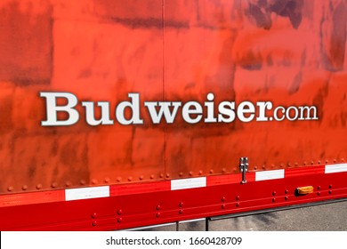 Cape Coral, Florida / USA - 3/1/20 : Budweiser Clydesdales making an appearance in Cape Coral FL. They were first introduced to the public on April 7th, 1933, to celebrate the end of prohibition. 