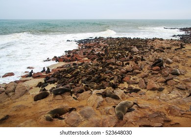 Cape Cross Namibia