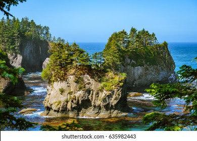 Cape Flattery