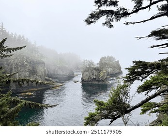 Cape Flattery in morning fog unveils a mystical scene: cliffs cloaked in mist, waves crashing below, and trees fading into the gray - Powered by Shutterstock