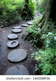 Cape Flattery Trail Path, Makah Reservation, Washington State