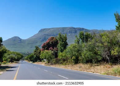 Cape Of Good Hope Nature Reserve, South Africa