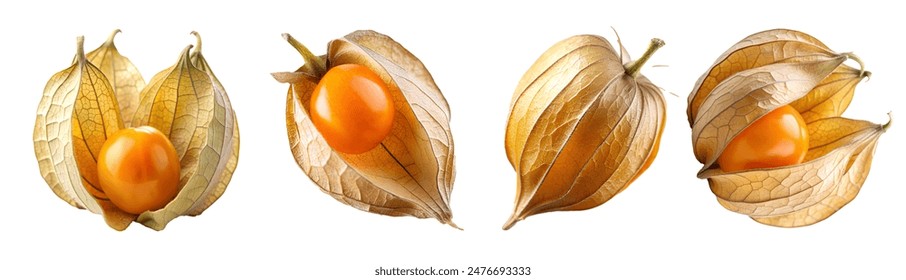 Cape gooseberry on white background - Powered by Shutterstock