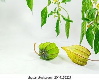 Belakang Images, Stock Photos u0026 Vectors  Shutterstock