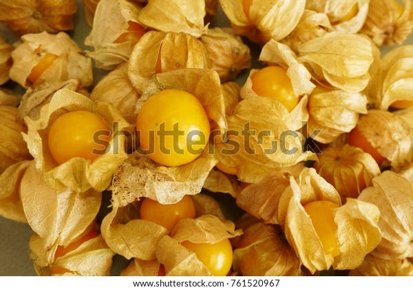 Cape Gooseberry Top View Selective Focus Stock Photo 761520967 ...