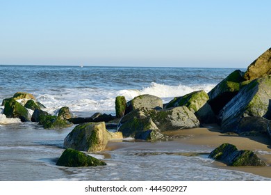 Cape Henlopen State Park