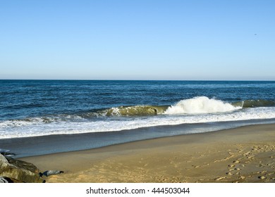 Cape Henlopen State Park