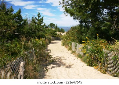 Cape Henlopen State Park ,Delaware