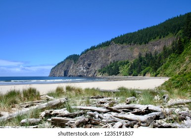 Cape Lookout State Park Oregon